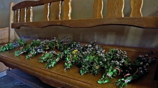 Niedziela Palmowa 2018